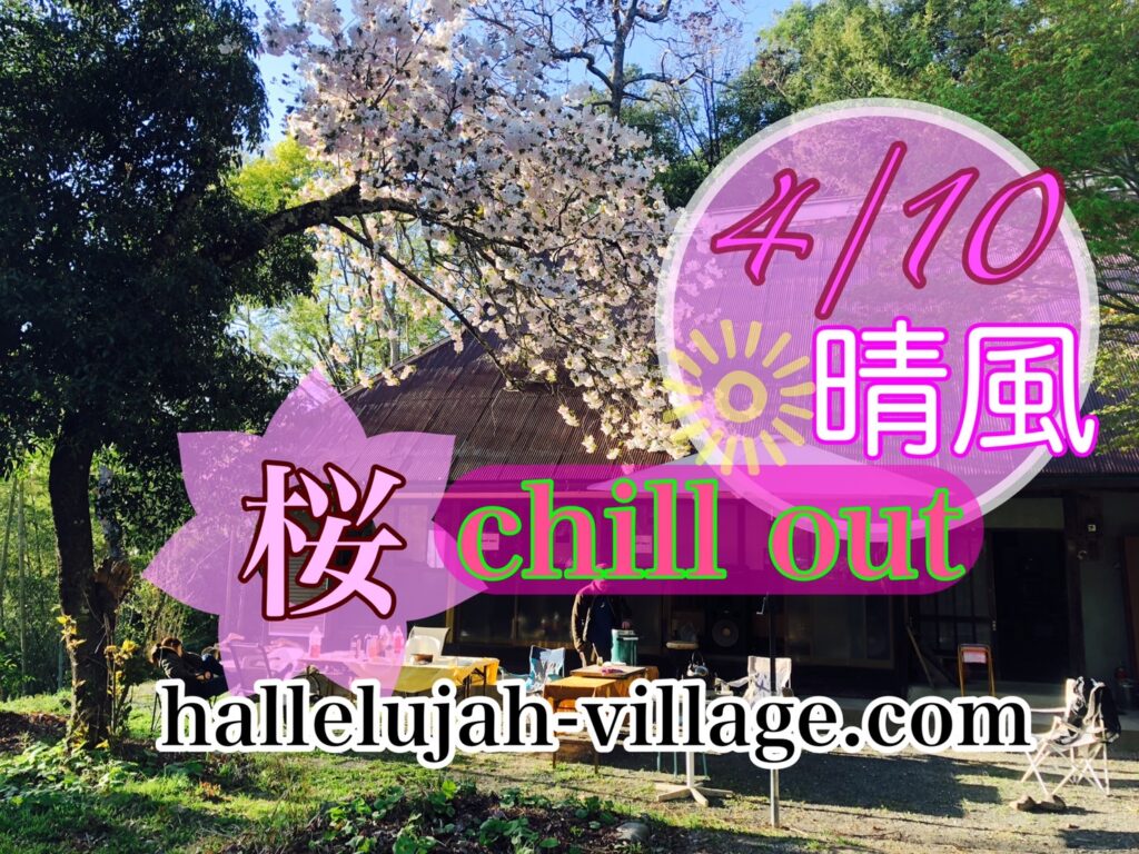 晴風2022 桜〜chill out