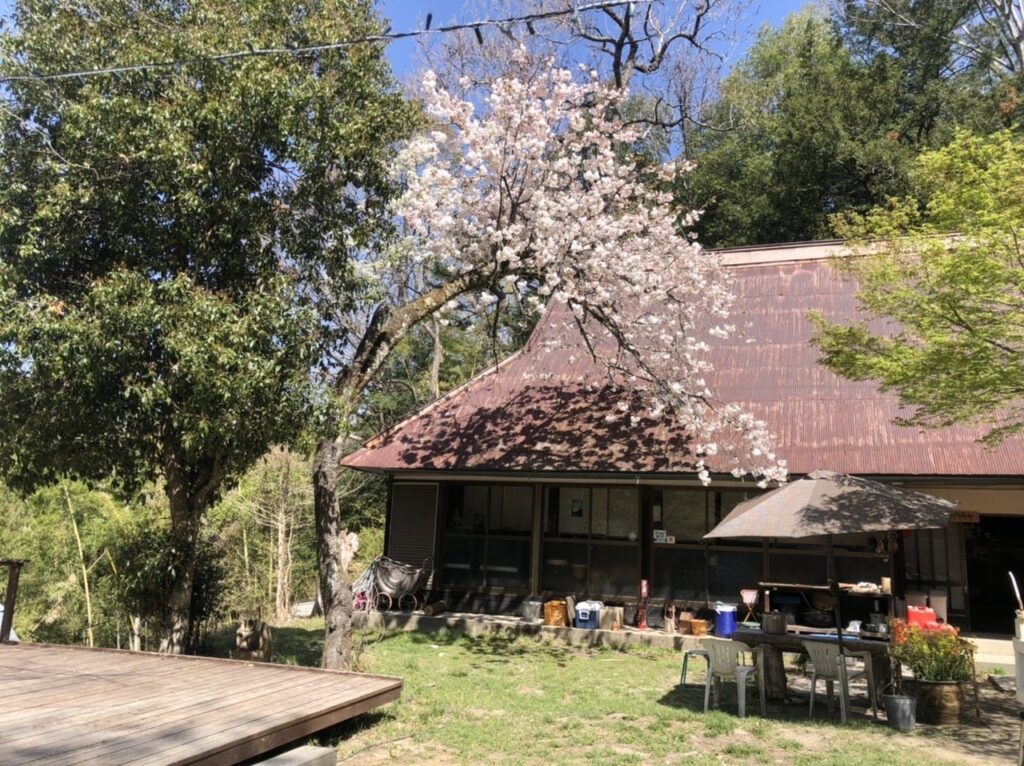 晴家村キャンプ場と桜