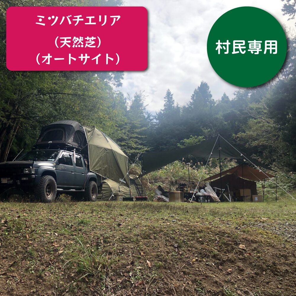 ミツバチエリア