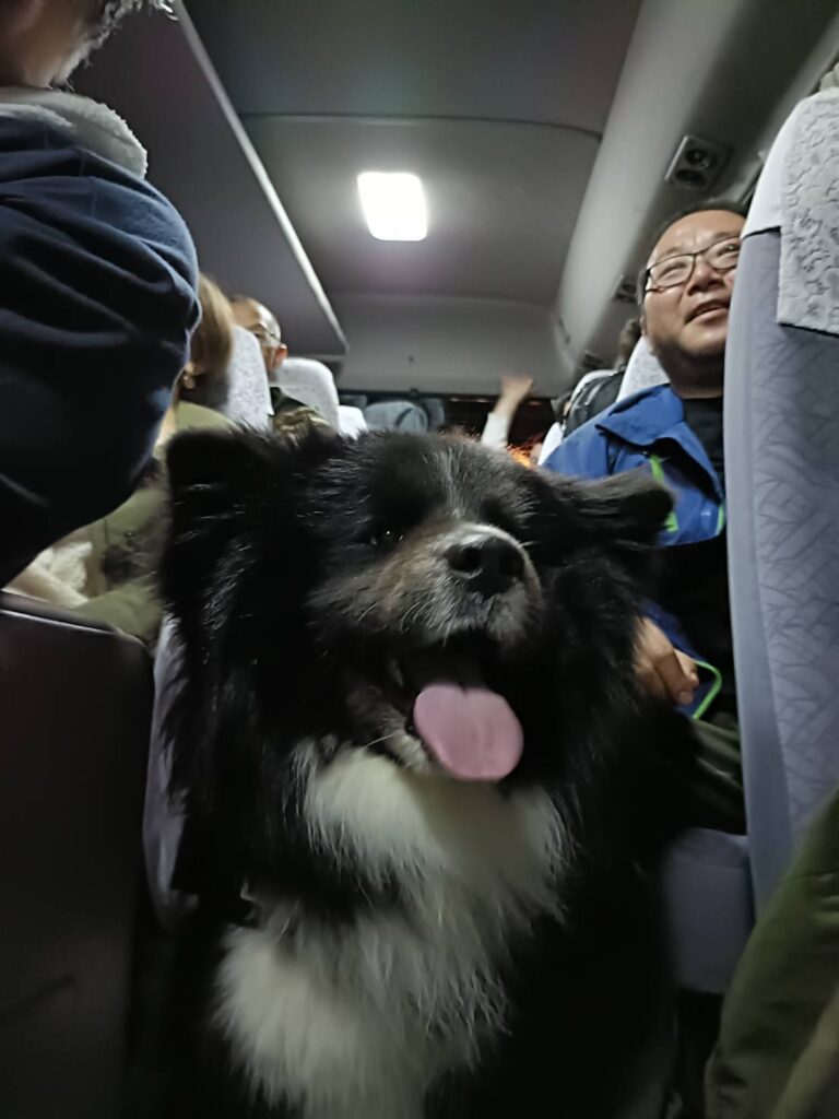 大福